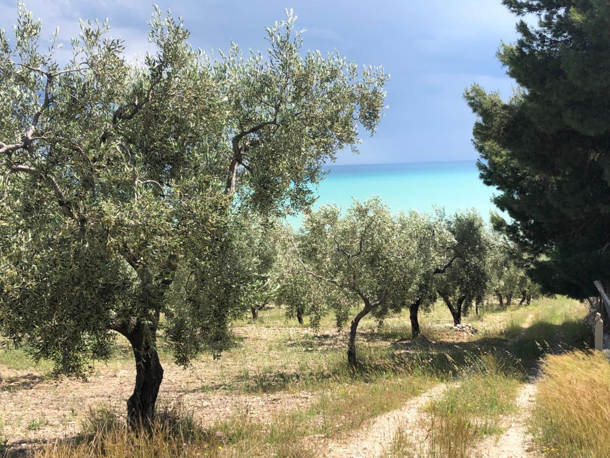 Villa Basso Gargano Monte SantʼAngelo Esterno foto